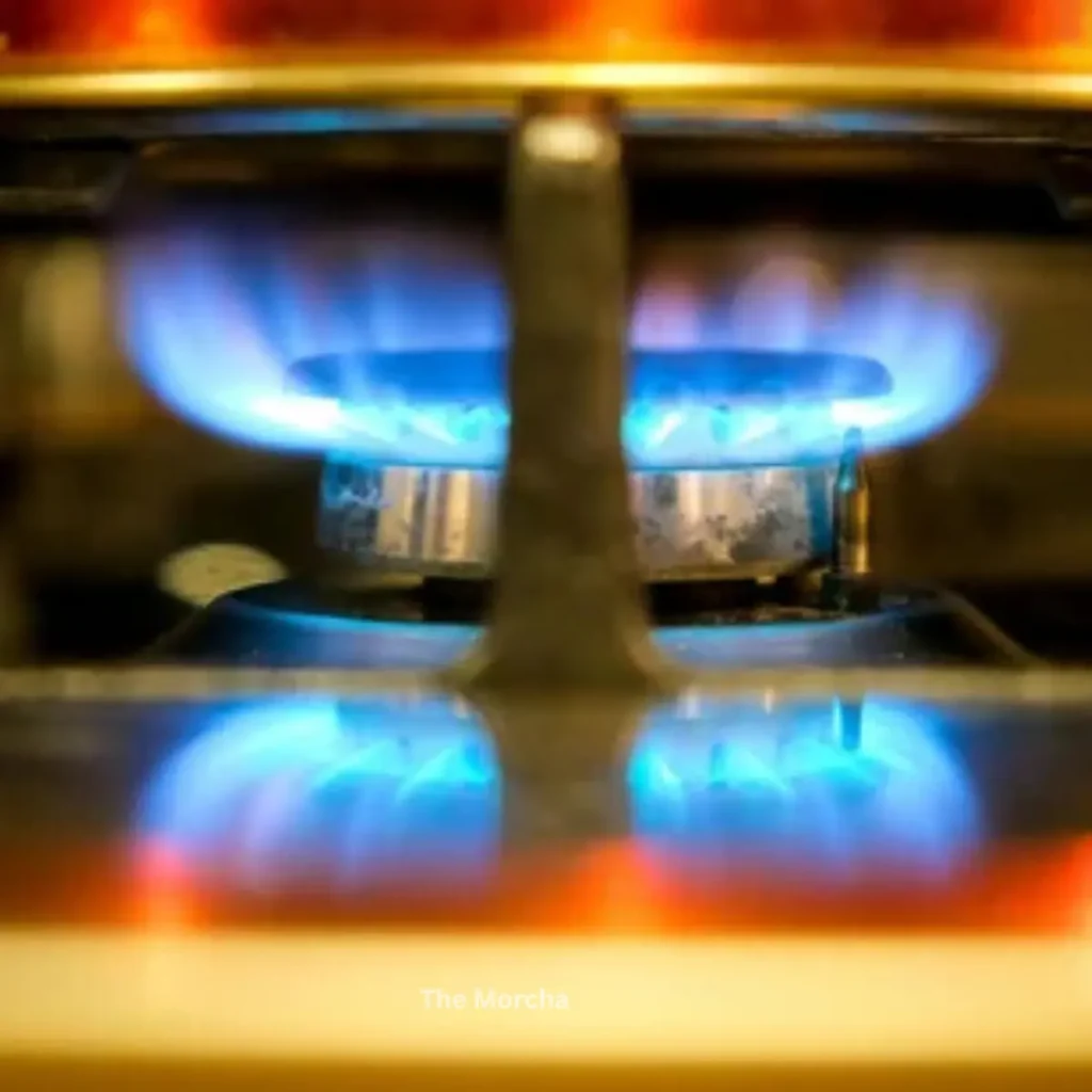 PNG Gas Connection 2026 India: A New Plan to Get Freedom from LPG (photo 3)