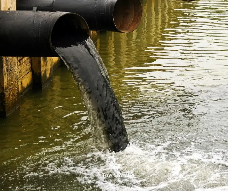 Water Pollution Crisis in India: A Growing Threat to Public Health and the Economy (photo 4)