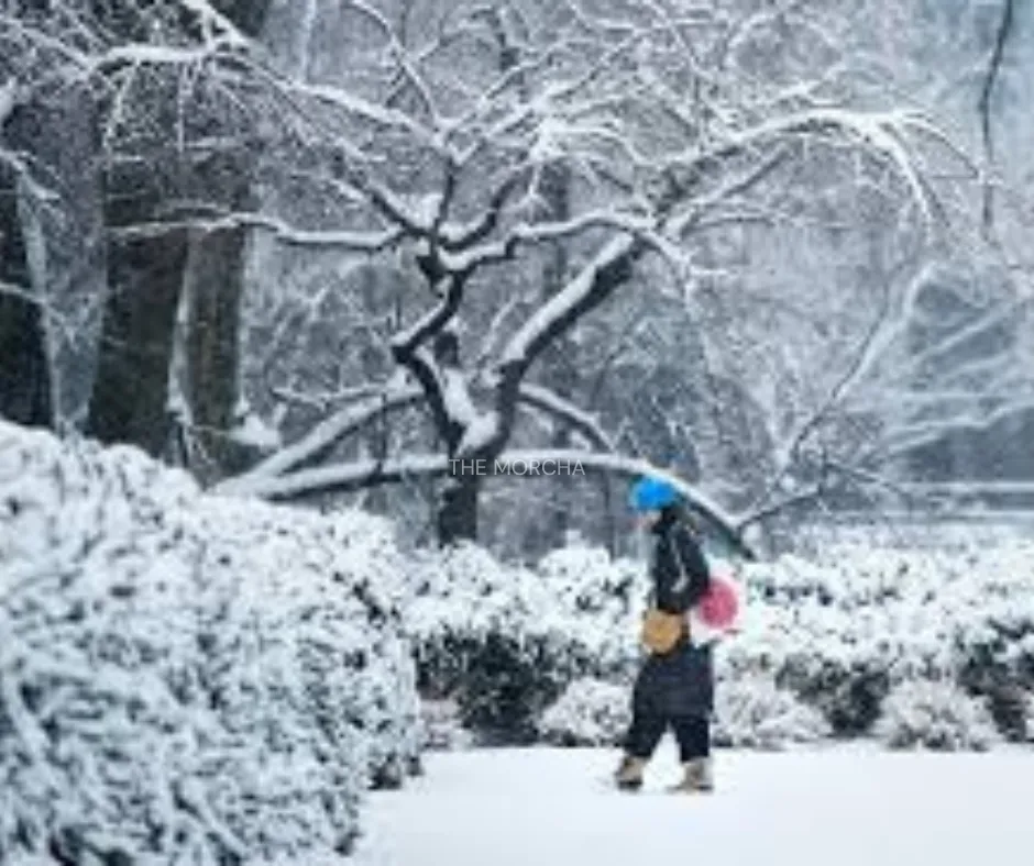 Winter and the Human Mind: Unraveling Seasonal Affective Disorder and Its Profound Impact on Mental Health (photo 3)