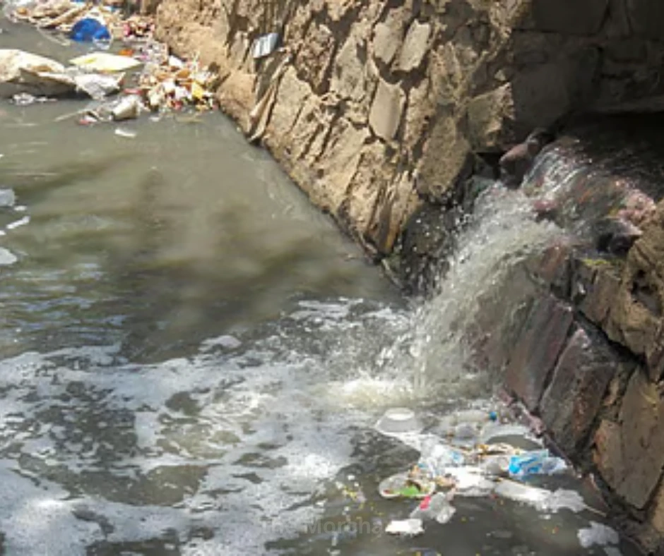 Water Pollution Crisis in India: A Growing Threat to Public Health and the Economy 1 Water Pollution
