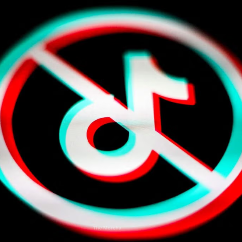 US TikTok Ban 2026 Shocking Truth & Future Impact 2
